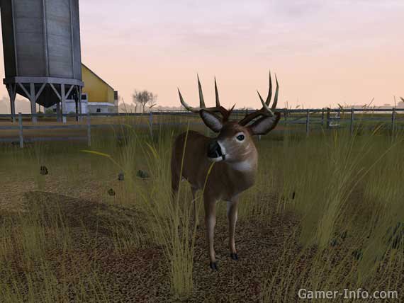 buy deer hunter 2005 download