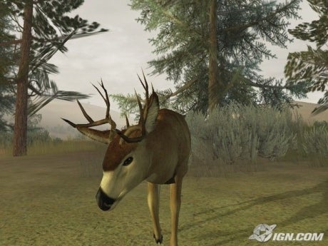 buy deer hunter 2005 download